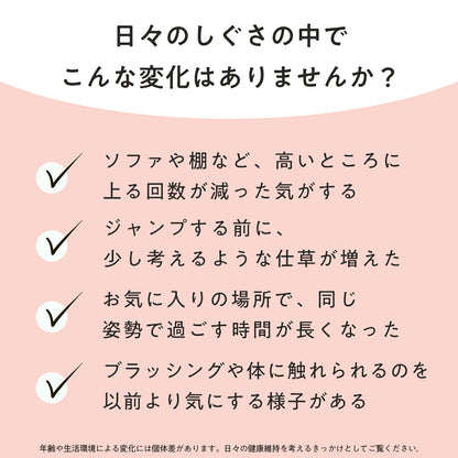 ペッツパーク 猫用 関節サポート