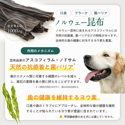 ペッツパーク 犬用 口腔ケアサポート