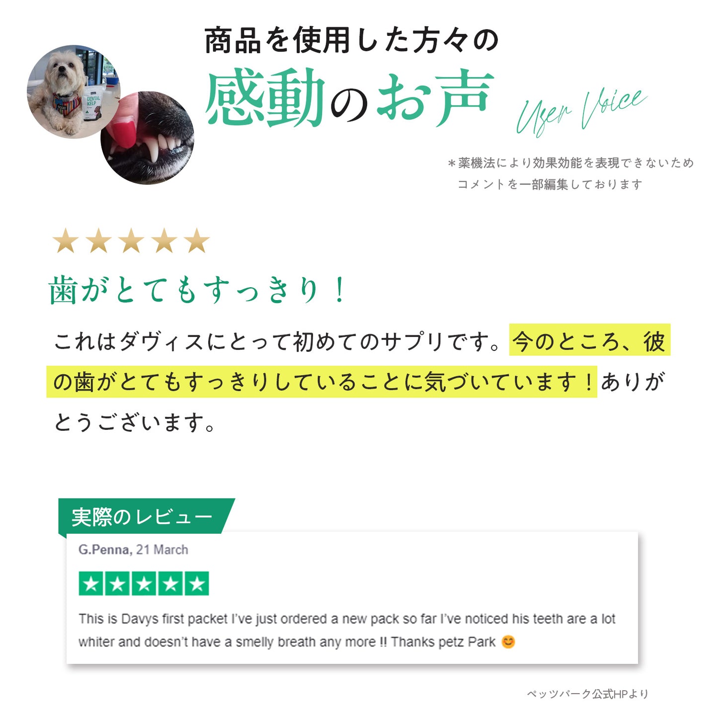 ペッツパーク 犬用 口腔ケアサポート