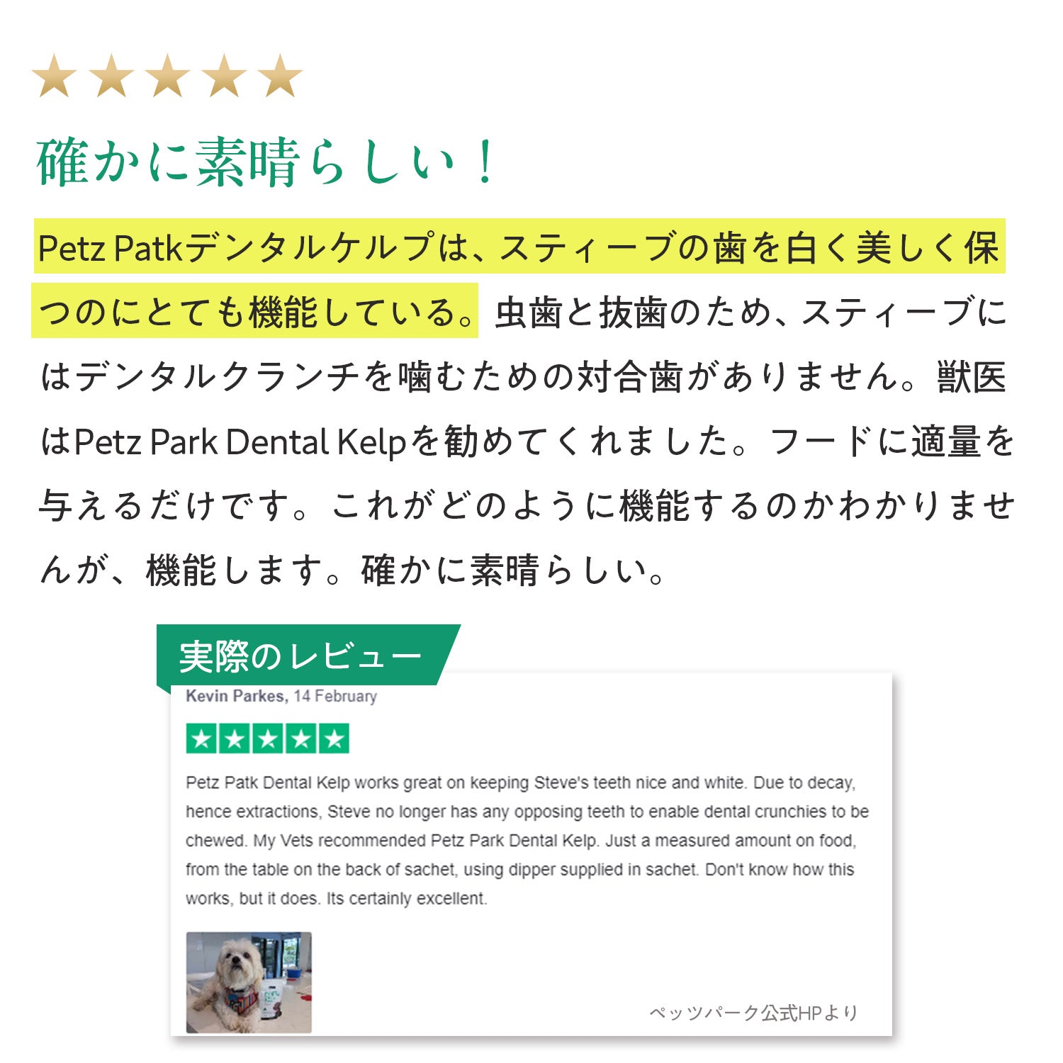 ペッツパーク 犬用 口腔ケアサポート