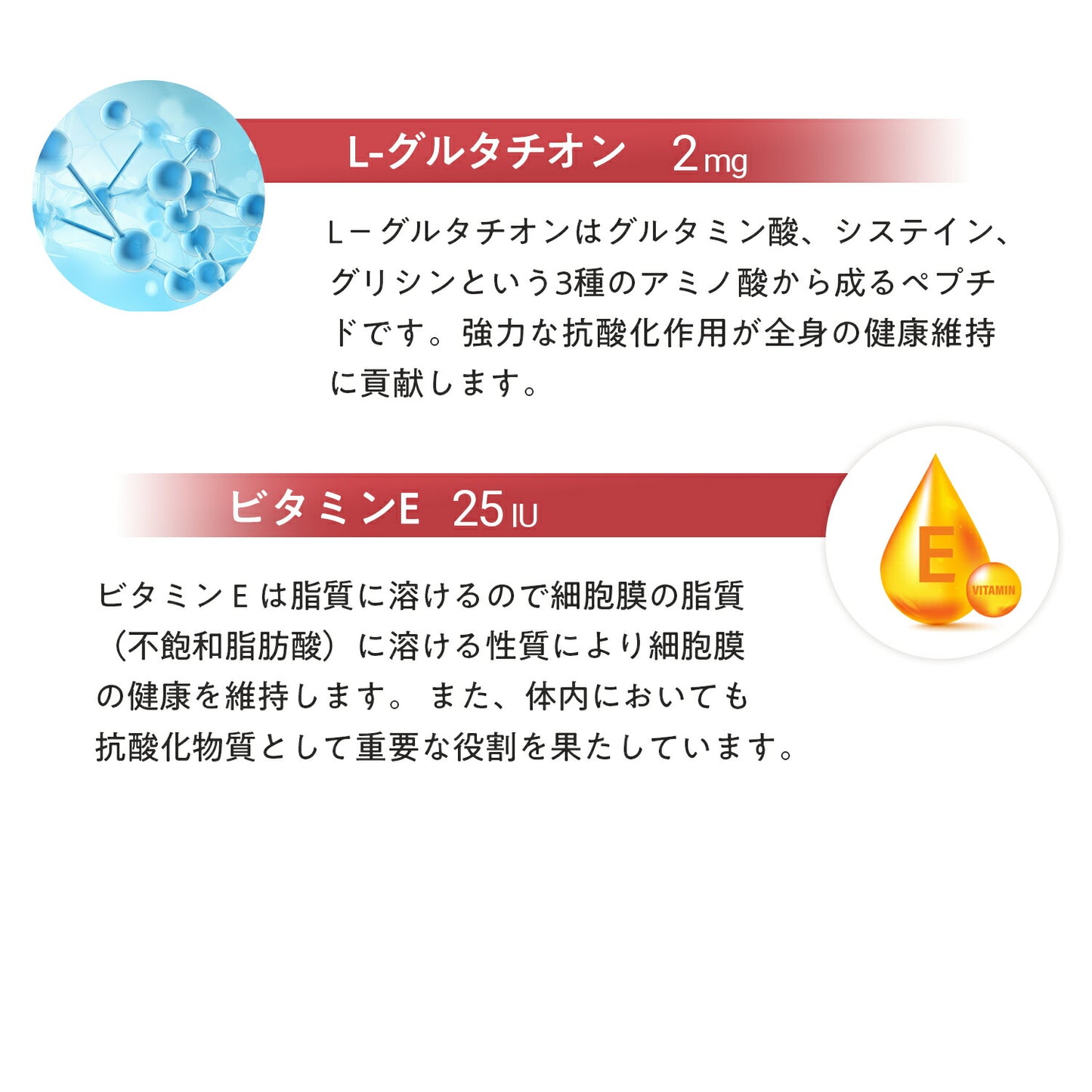 ペッツパーク 犬用 関節サポート