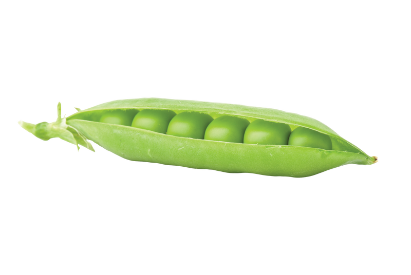 えんどう豆の参考画像