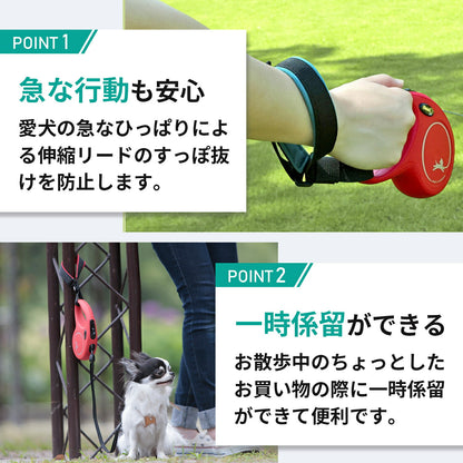 ストラップ 使用例