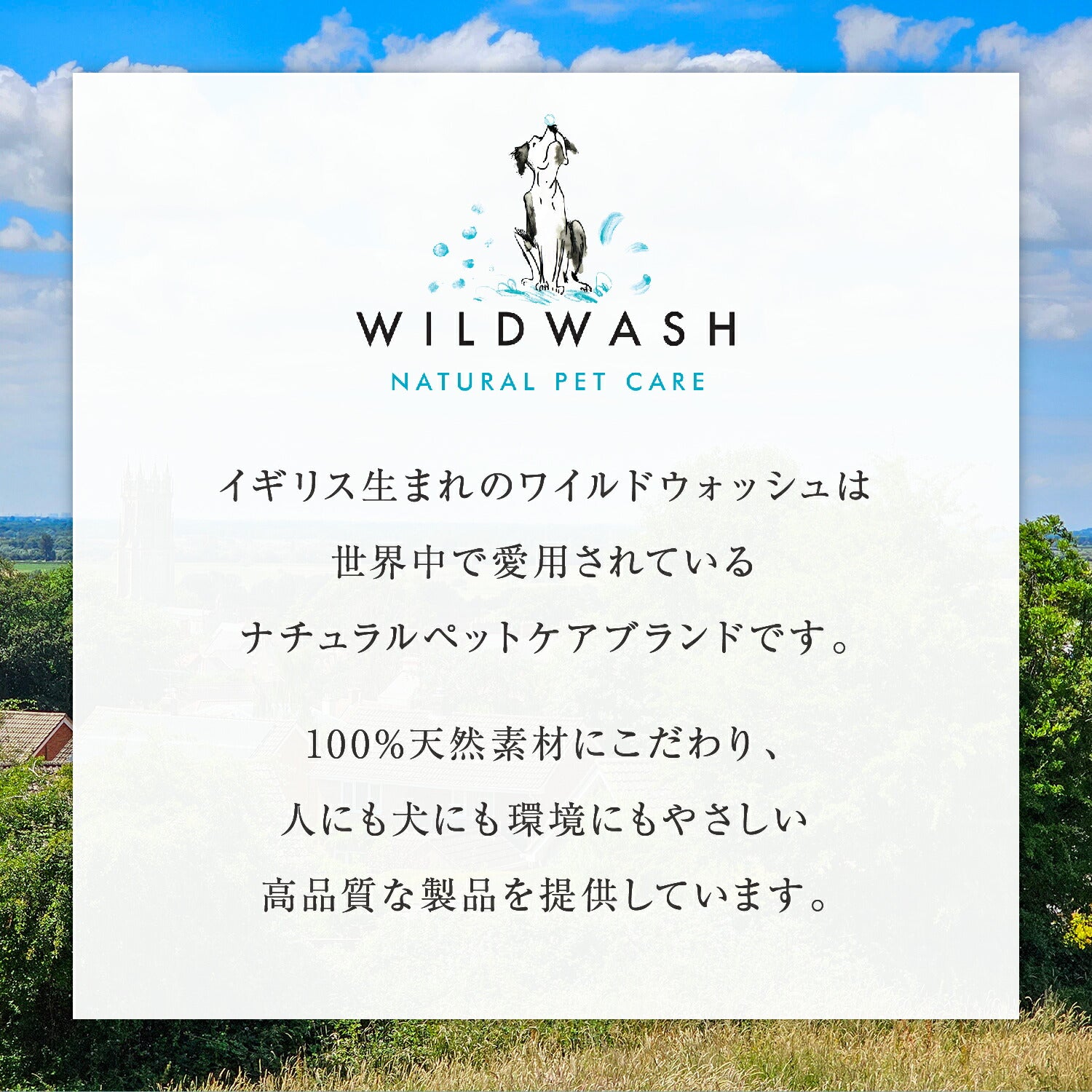 WildWash ノーズバーム 使い方