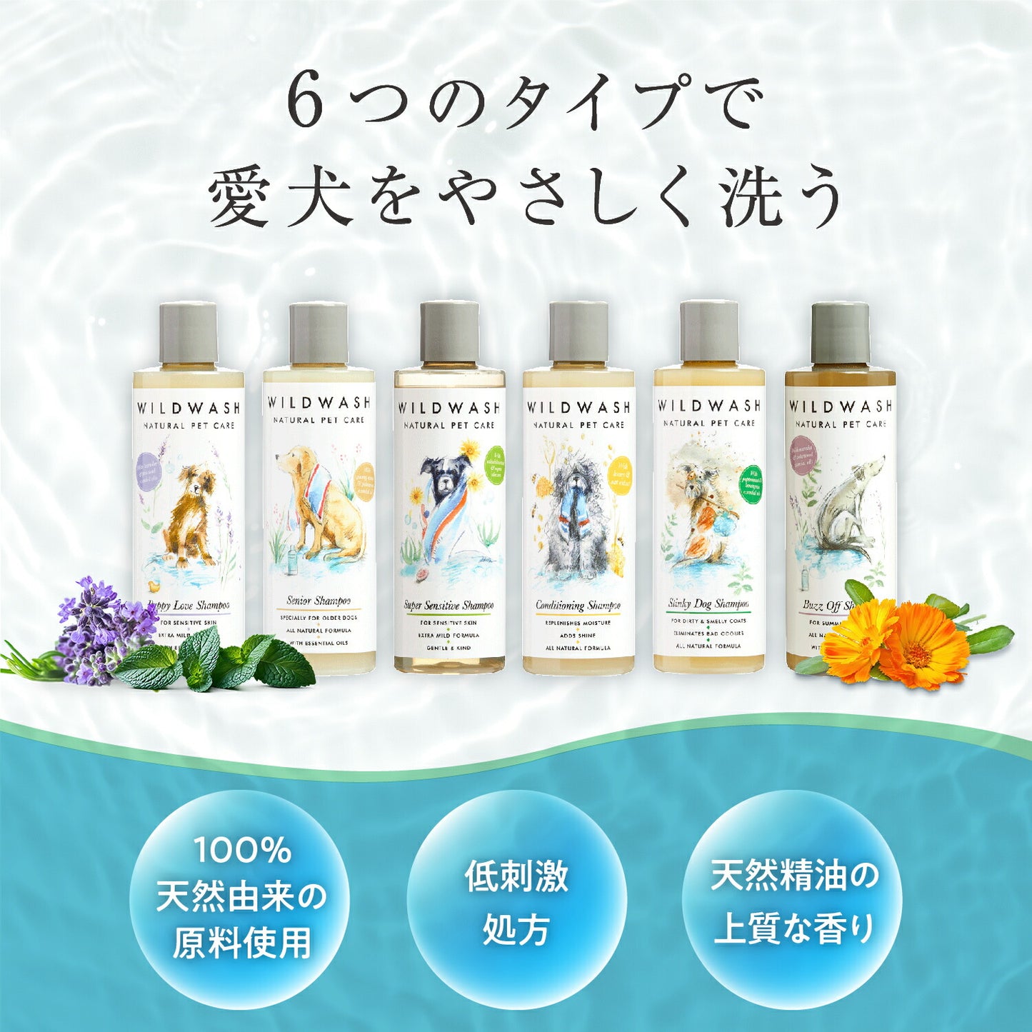 WildWash シャンプー 無添加処方
