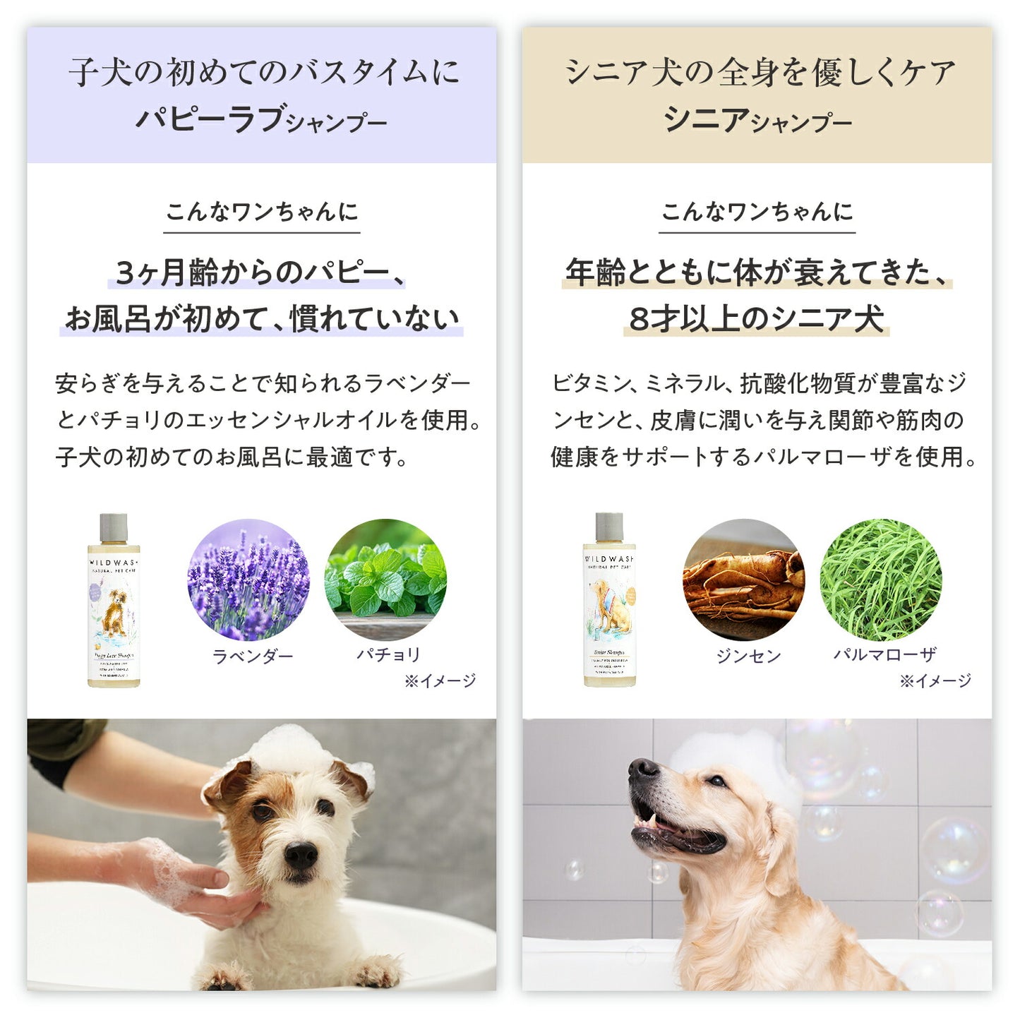 WildWash シャンプー 天然成分