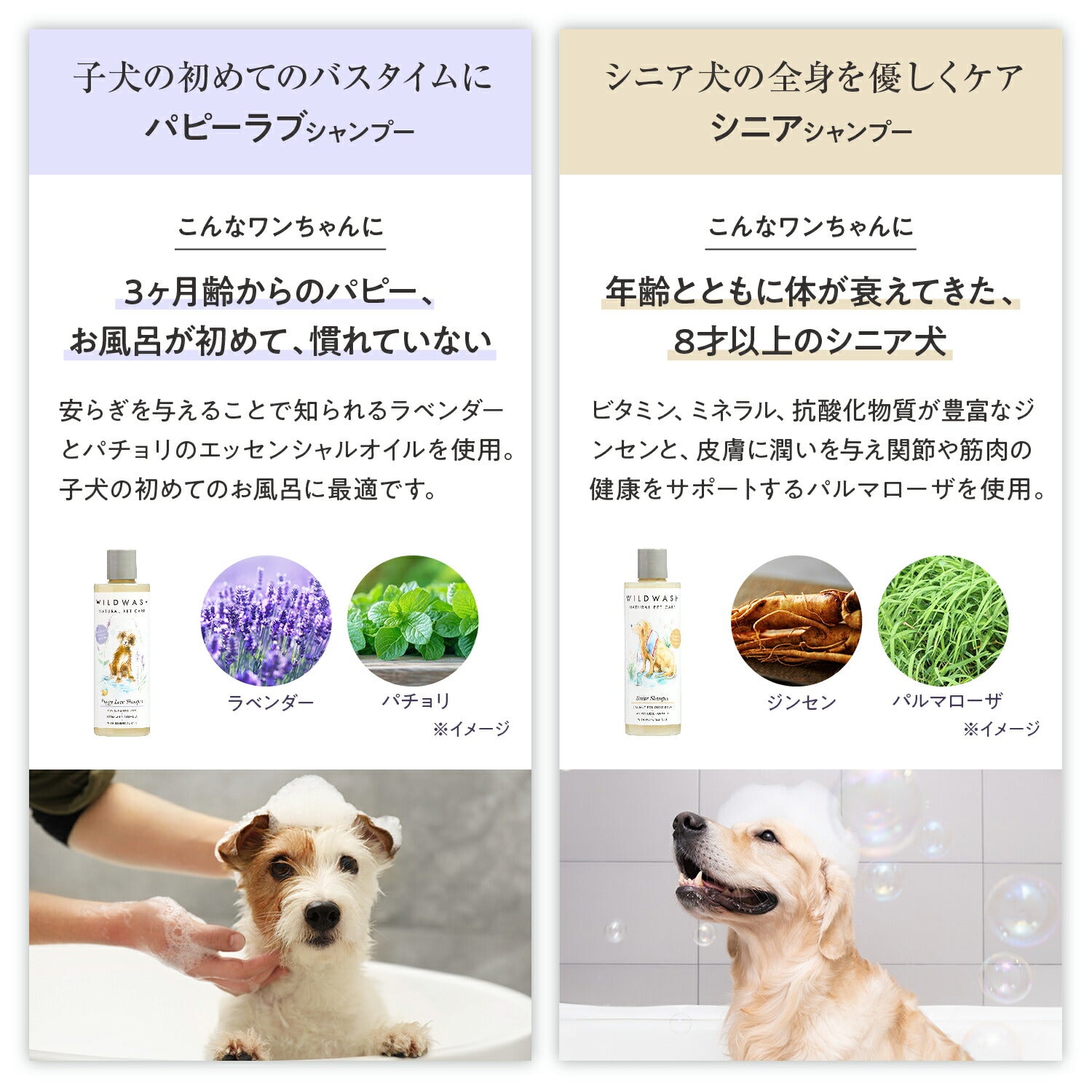 WildWash シャンプー 天然成分