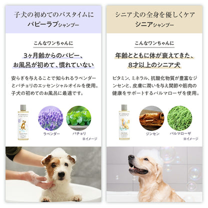 WildWash シャンプー 天然成分