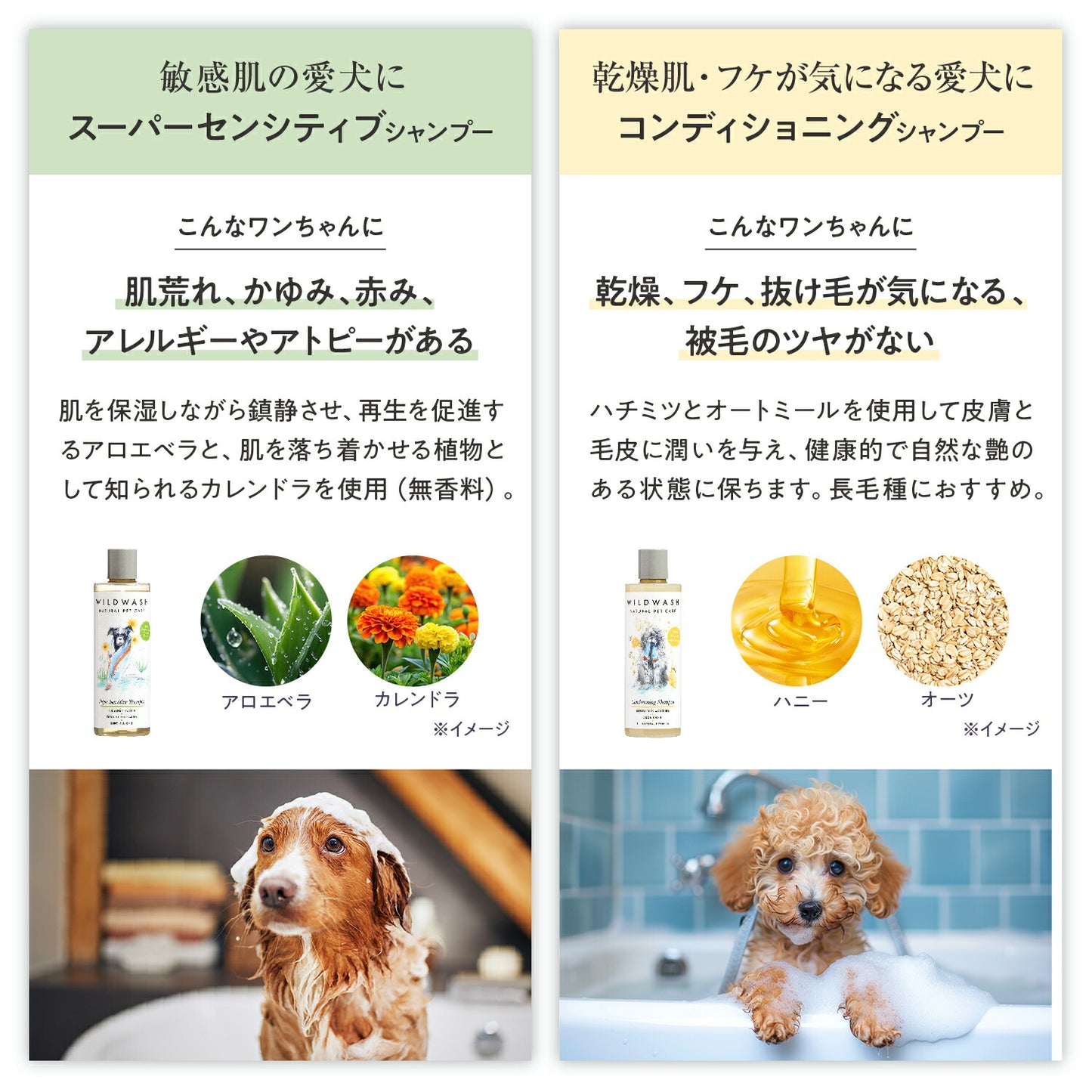 WildWash シャンプー 使い方
