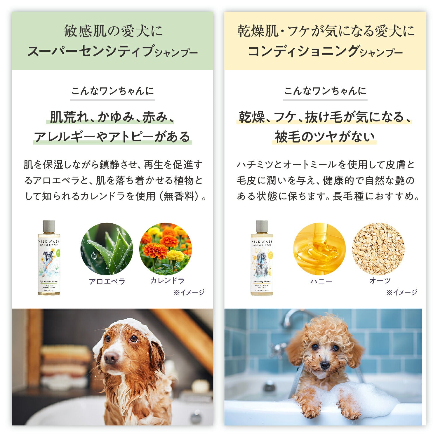 WildWash シャンプー 使い方