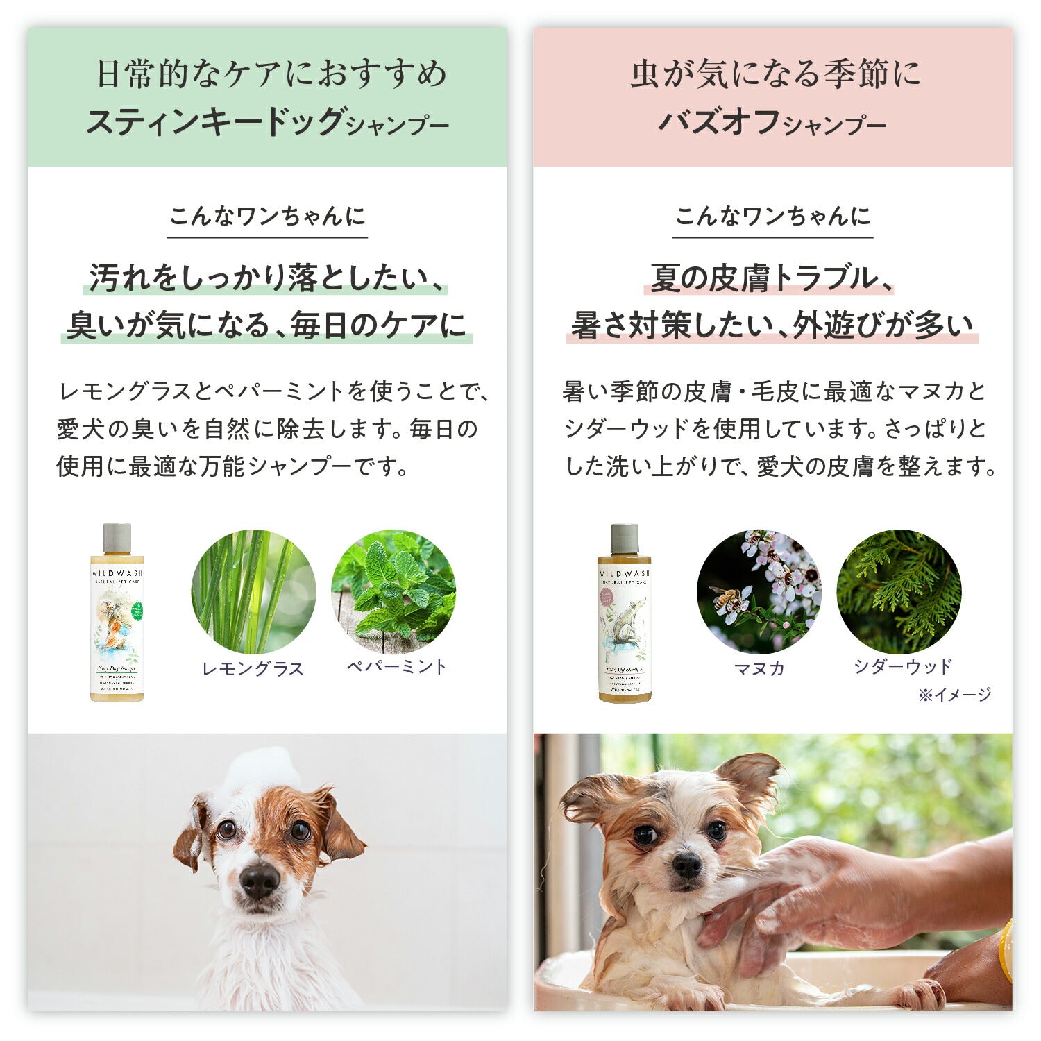 WildWash シャンプー 仕上がり