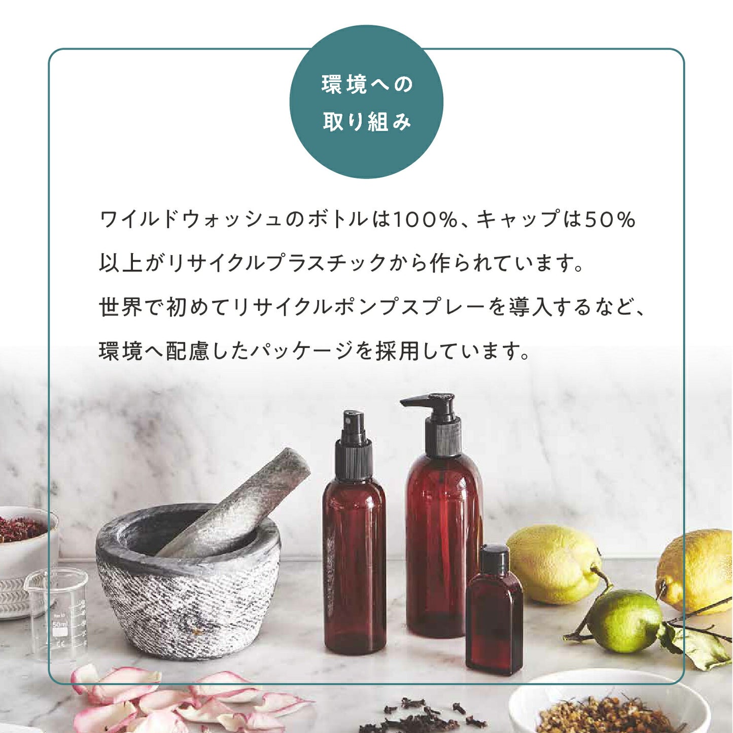 WildWash ケアミスト 仕上げ