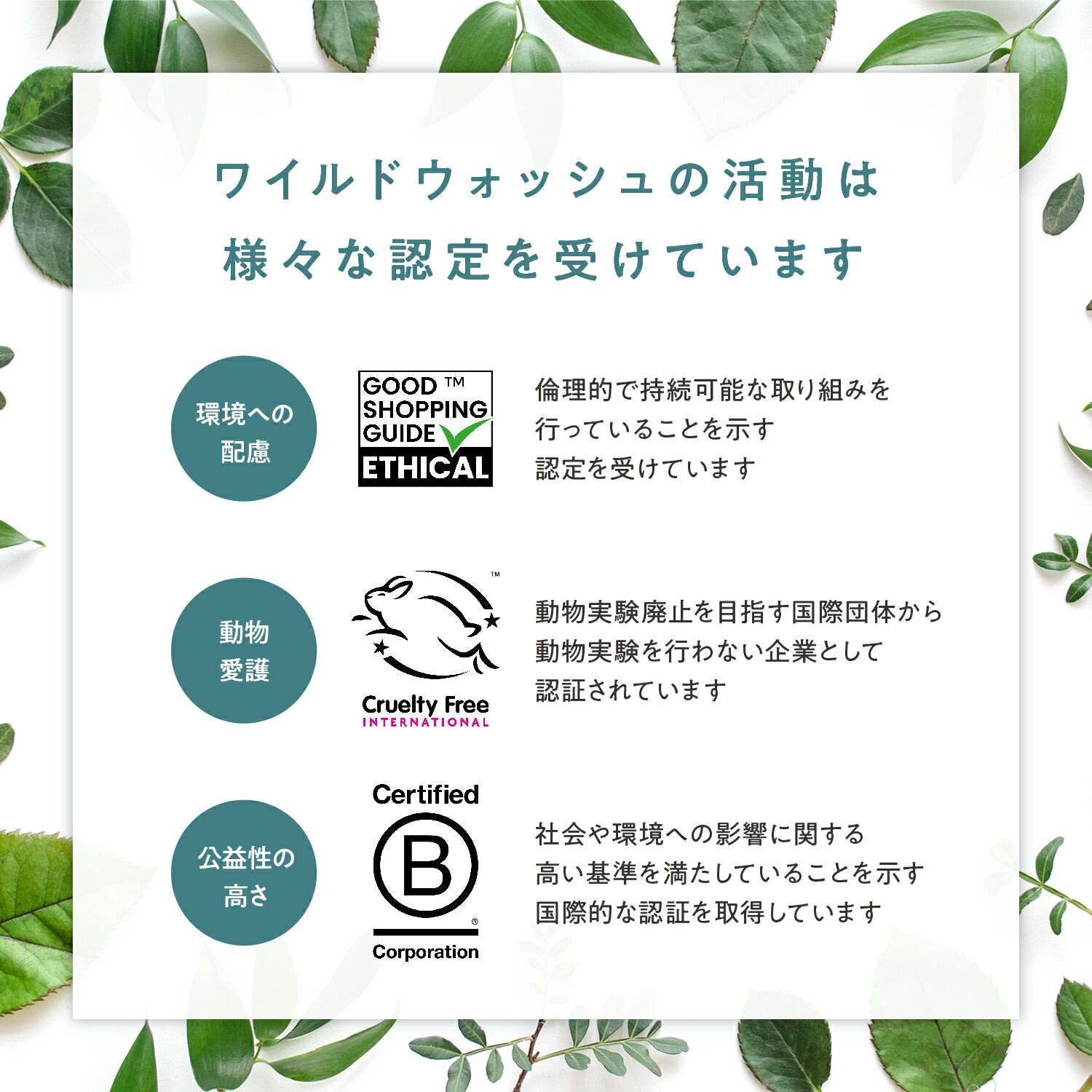 WildWash ケアミスト ブランド